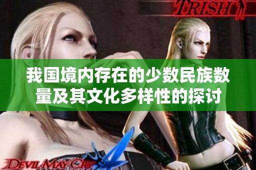 我国境内存在的少数民族数量及其文化多样性的探讨