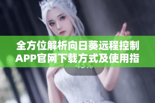 全方位解析向日葵远程控制APP官网下载方式及使用指南