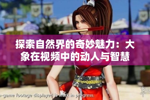 探索自然界的奇妙魅力：大象在视频中的动人与智慧