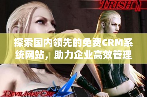 探索国内领先的免费CRM系统网站，助力企业高效管理客户关系