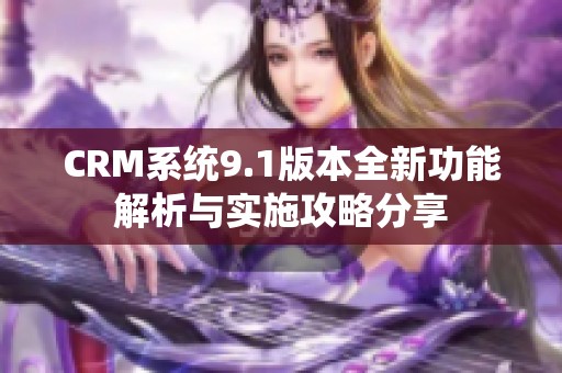 CRM系统9.1版本全新功能解析与实施攻略分享