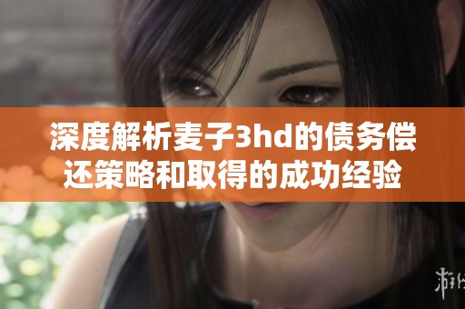 深度解析麦子3hd的债务偿还策略和取得的成功经验