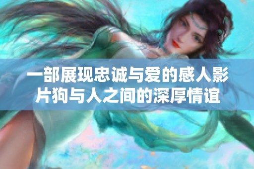 一部展现忠诚与爱的感人影片狗与人之间的深厚情谊